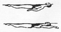 position dorsale